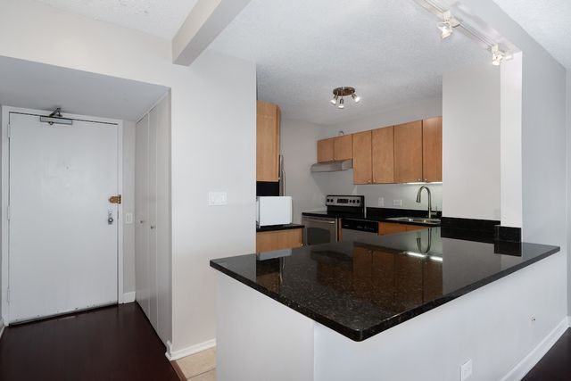 30 E Huron Street 4603, Chicago, IL 60611