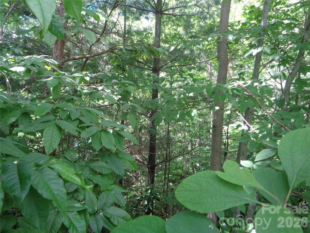 Lot 6 Peaks Creek Trail, Maggie Valley, NC 28751