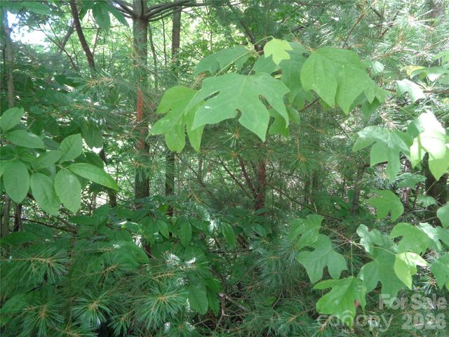 Lot 6 Peaks Creek Trail, Maggie Valley, NC 28751