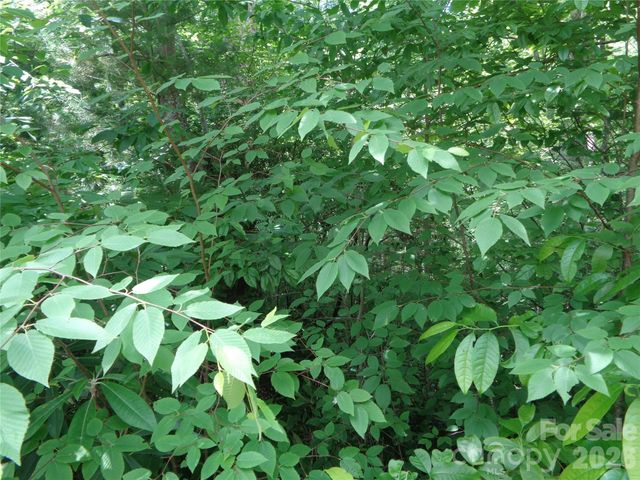 Lot 6 Peaks Creek Trail, Maggie Valley, NC 28751