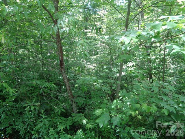Lot 6 Peaks Creek Trail, Maggie Valley, NC 28751