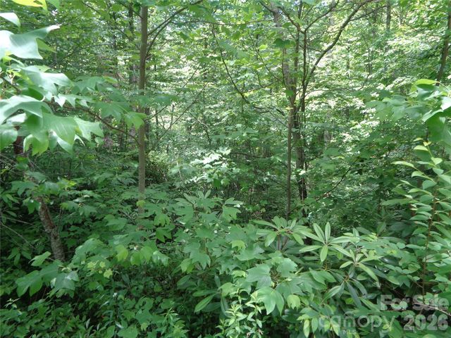 Lot 6 Peaks Creek Trail, Maggie Valley, NC 28751