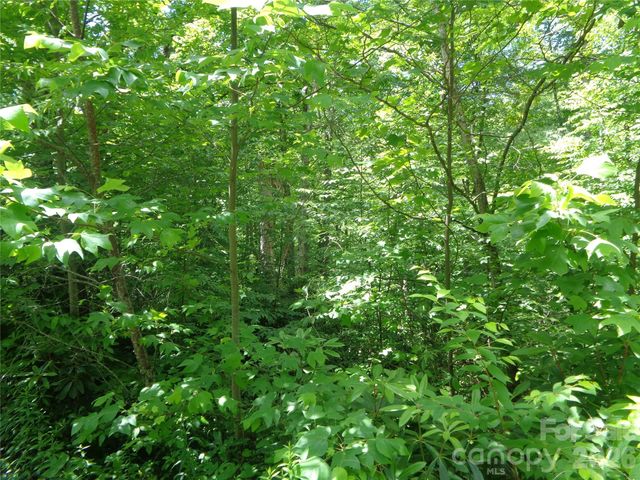 Lot 6 Peaks Creek Trail, Maggie Valley, NC 28751
