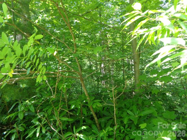 Lot 6 Peaks Creek Trail, Maggie Valley, NC 28751