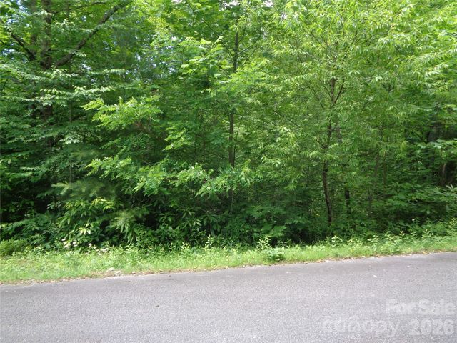 Lot 6 Peaks Creek Trail, Maggie Valley, NC 28751