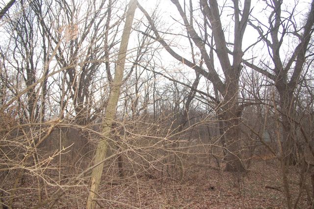 35W247 FOX RIVER Drive, St. Charles, IL 60174
