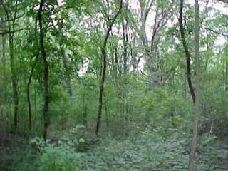 35W247 FOX RIVER Drive, St. Charles, IL 60174