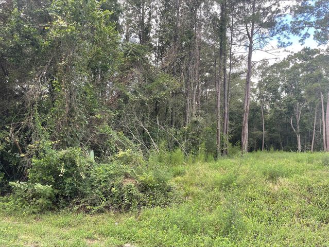 TBD0.57AC Magnolia Bend Dr, Conroe, TX 77302