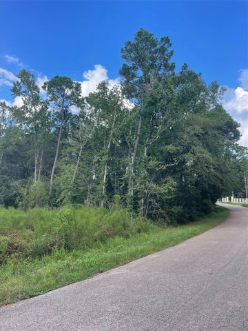 TBD0.57AC Magnolia Bend Dr, Conroe, TX 77302
