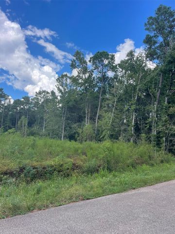 TBD0.57AC Magnolia Bend Dr, Conroe, TX 77302