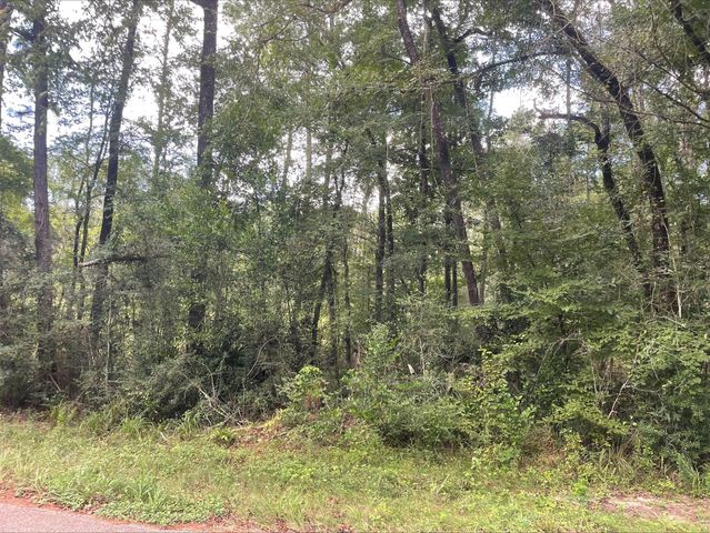 TBD0.57AC Magnolia Bend Dr, Conroe, TX 77302
