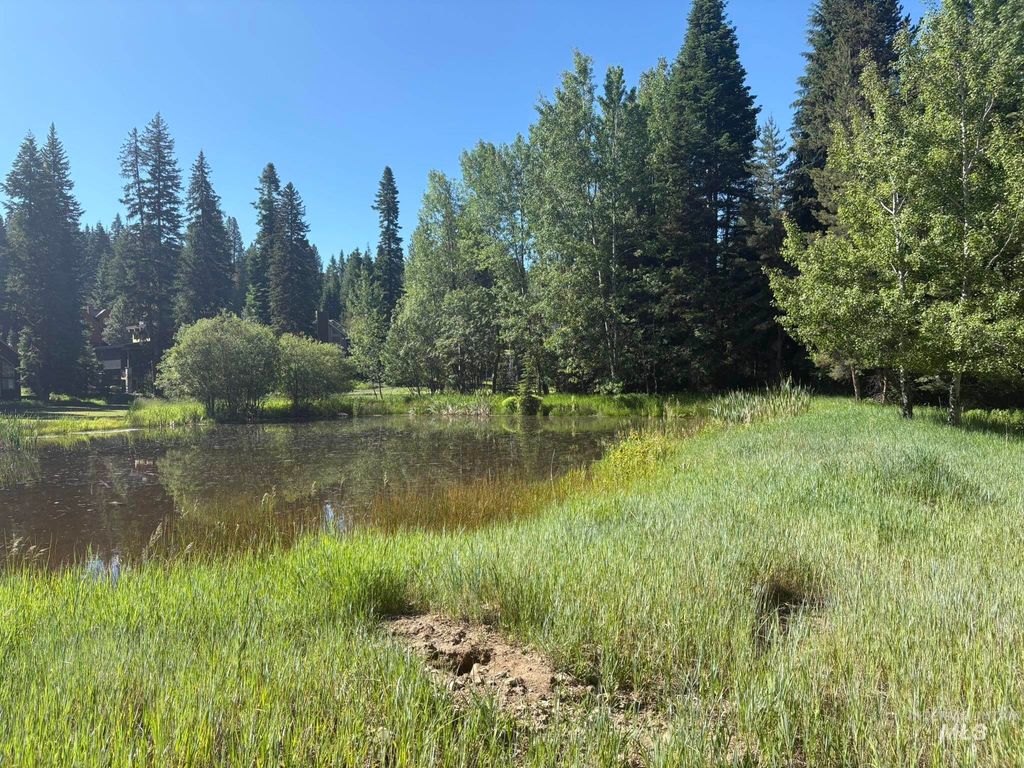 1024 Penstemen Pl, McCall, ID 83638 photo 3