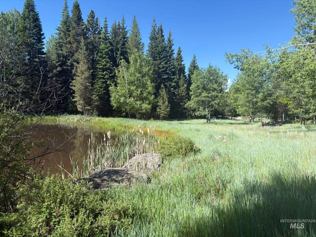1024 Penstemen Pl, McCall, ID 83638 photo 4