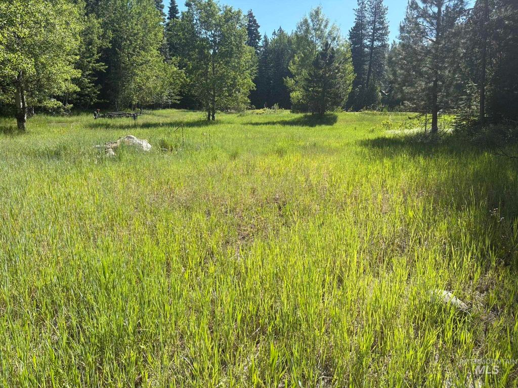 1024 Penstemen Pl, McCall, ID 83638 photo 5