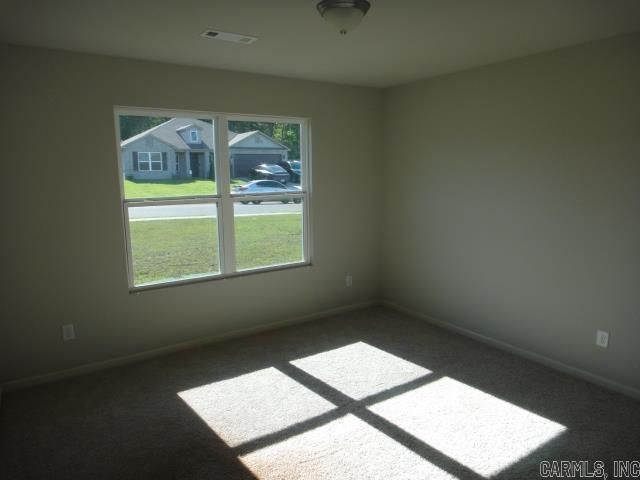19 Ferguson Drive, Austin, AR 72007