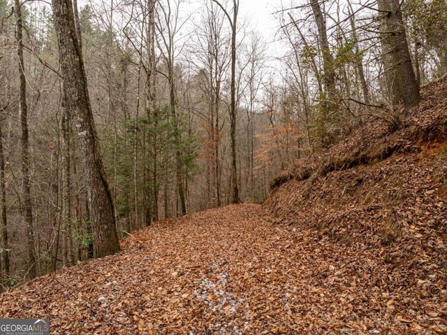 377 Soldiers Path, Dahlonega, GA 30533