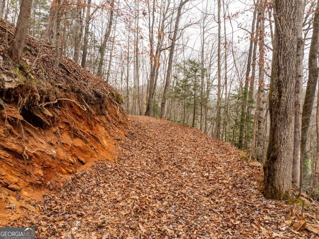 377 Soldiers Path, Dahlonega, GA 30533