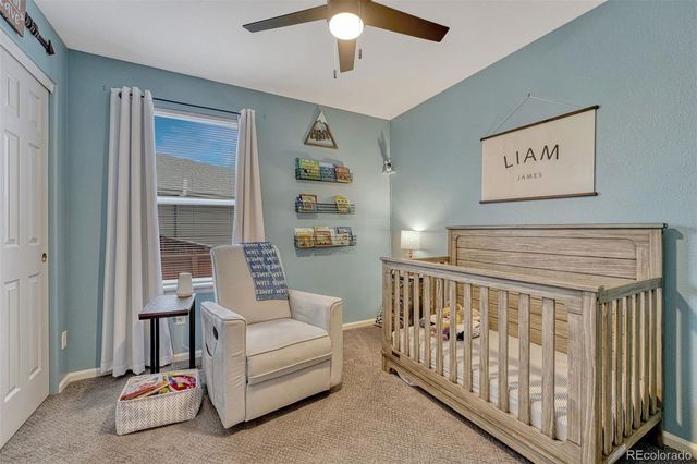 7135 Leopard Drive, Lone Tree, CO 80124