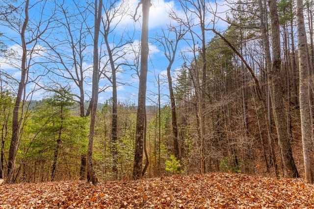3.45 Ac Guy Eller Road, Murphy, NC 28906