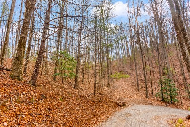 3.45 Ac Guy Eller Road, Murphy, NC 28906