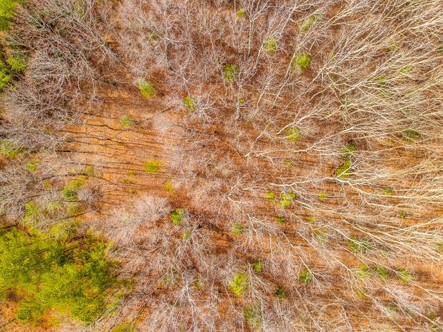 3.45 Ac Guy Eller Road, Murphy, NC 28906