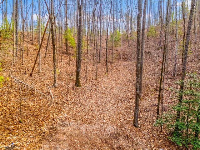 3.45 Ac Guy Eller Road, Murphy, NC 28906
