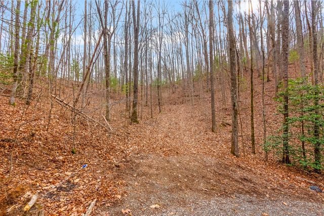 3.45 Ac Guy Eller Road, Murphy, NC 28906