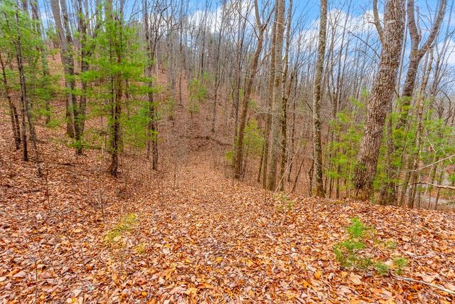 3.45 Ac Guy Eller Road, Murphy, NC 28906