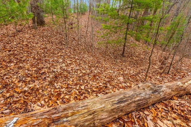 3.45 Ac Guy Eller Road, Murphy, NC 28906