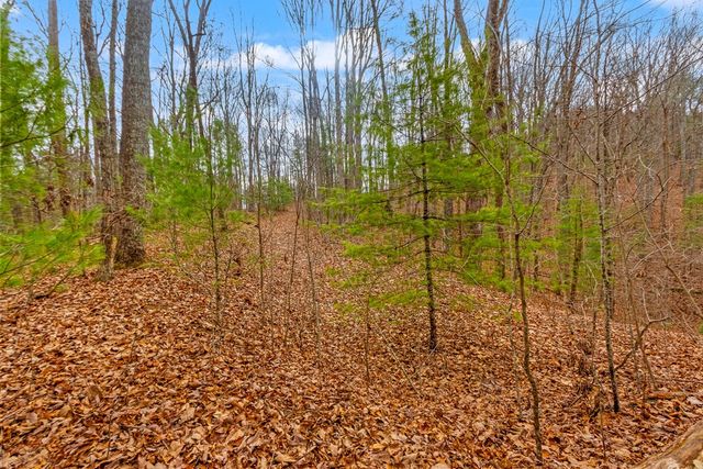 3.45 Ac Guy Eller Road, Murphy, NC 28906