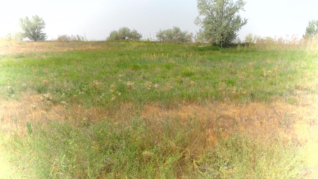 231 N Waucanza Street, Dietrich, ID 83324 photo 5