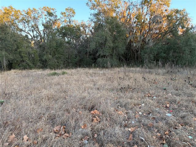 13434 MARYLAND AVENUE, Astatula, FL 34705