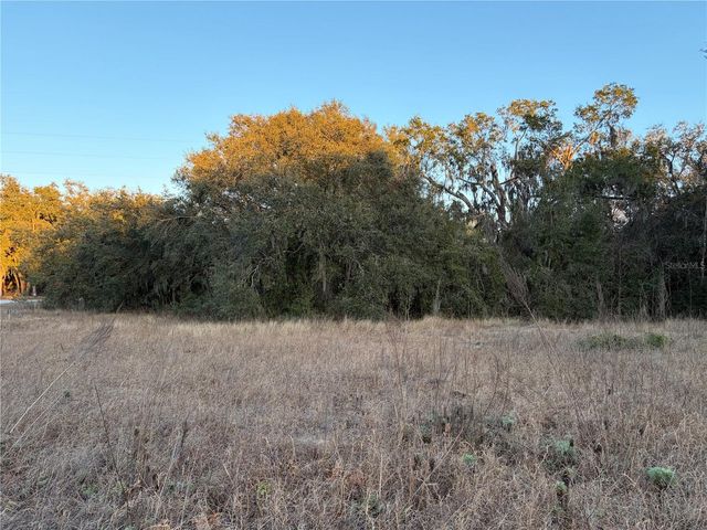 13434 MARYLAND AVENUE, Astatula, FL 34705