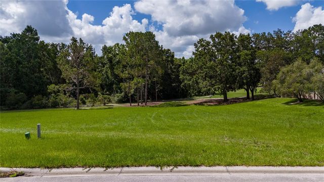 9517 SAN FERNANDO COURT, Howey In The Hills, FL 34737