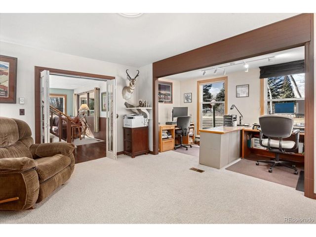 29250 County Road 330, Buena Vista, CO 81211