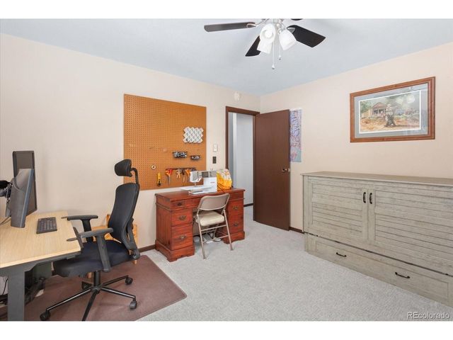 29250 County Road 330, Buena Vista, CO 81211