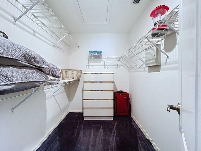 7517 SAVANNAH LANE, Tampa, FL 33637