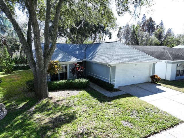 7517 SAVANNAH LANE, Tampa, FL 33637