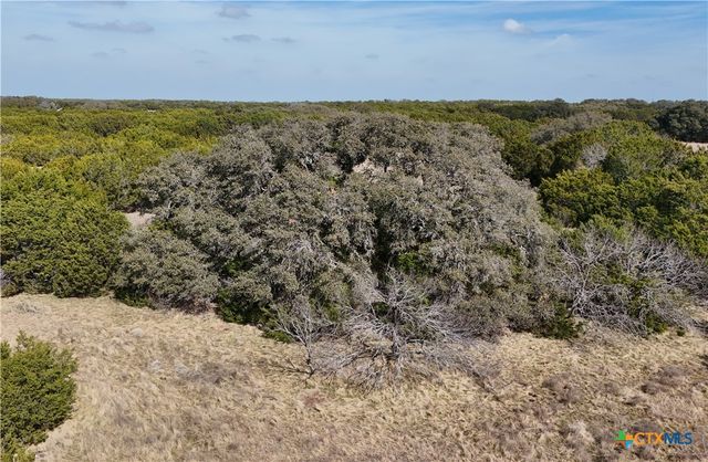 Lot 10 Stargazer Drive, Lampasas, TX 76550