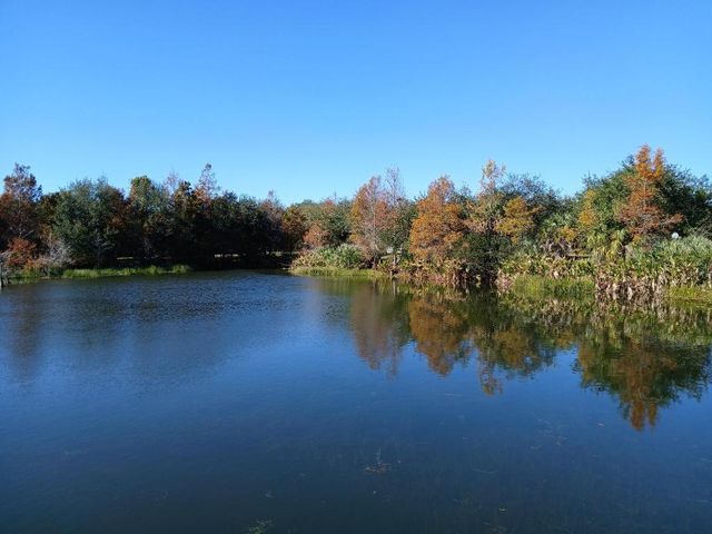 1888 SE High Springs Drive, Port St. Lucie, Port St Lucie, FL 34952