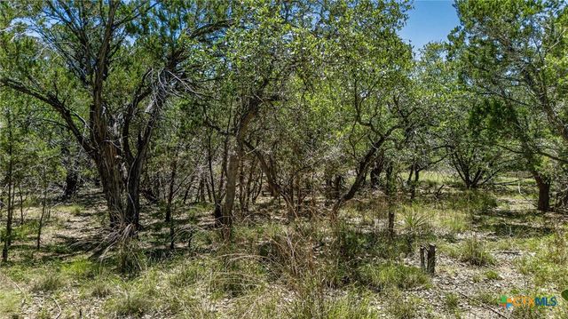 00 Campbell Drive, Canyon Lake, TX 78133