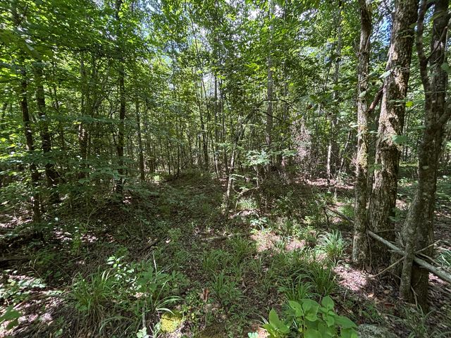 1 Mullins Cove Road, Whitwell, TN 37397