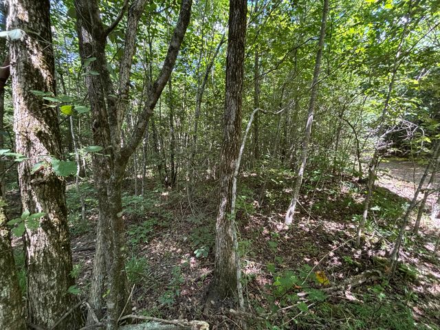 1 Mullins Cove Road, Whitwell, TN 37397