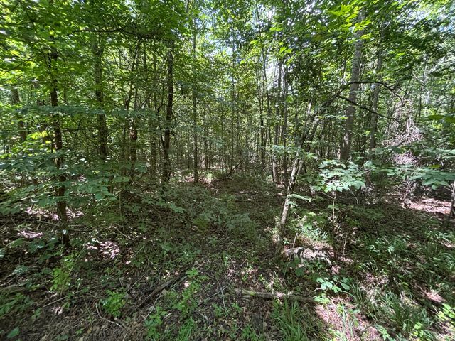 1 Mullins Cove Road, Whitwell, TN 37397
