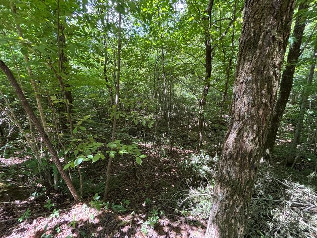 1 Mullins Cove Road, Whitwell, TN 37397