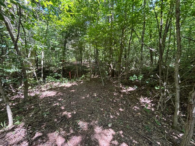 1 Mullins Cove Road, Whitwell, TN 37397