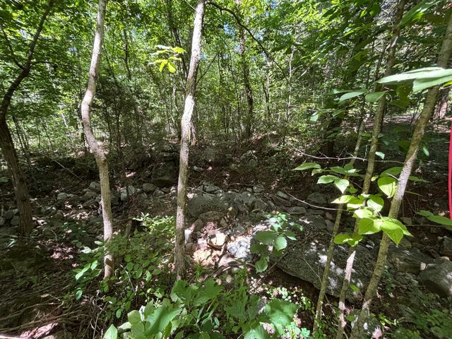 1 Mullins Cove Road, Whitwell, TN 37397
