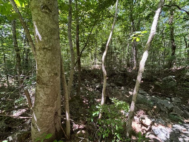 1 Mullins Cove Road, Whitwell, TN 37397