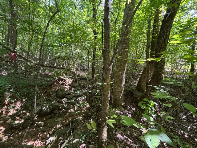 1 Mullins Cove Road, Whitwell, TN 37397