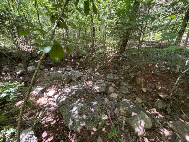 1 Mullins Cove Road, Whitwell, TN 37397